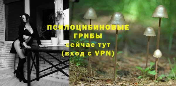эйфоретик Алзамай