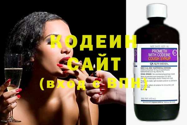 эйфоретик Алзамай