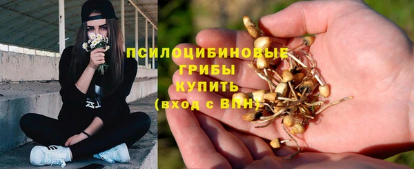эйфоретик Алзамай