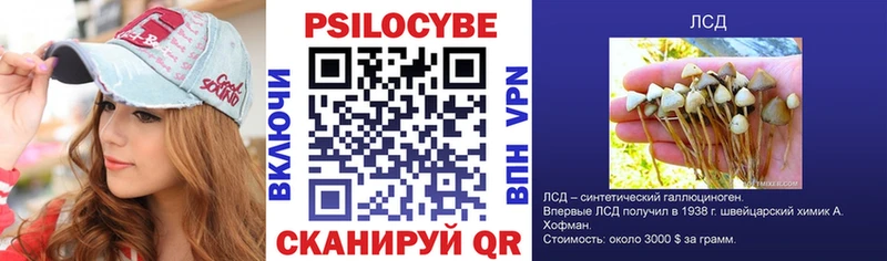 Галлюциногенные грибы Cubensis  сколько стоит  Нарткала 