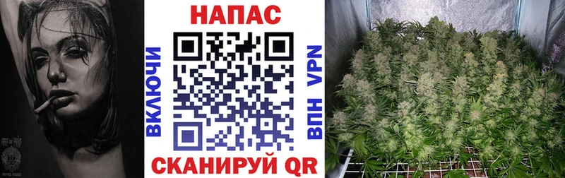 Шишки марихуана конопля Нарткала